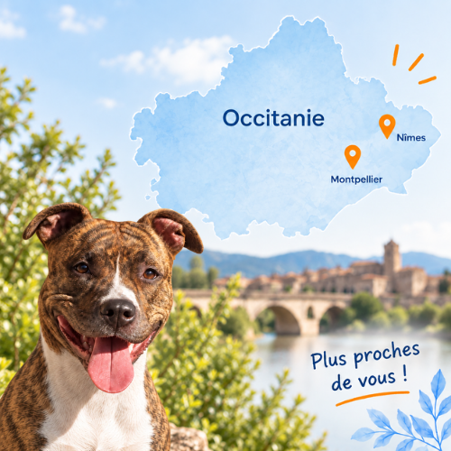 Carte de l’Occitanie illustrant l’intervention Canisphere dans toute la région
